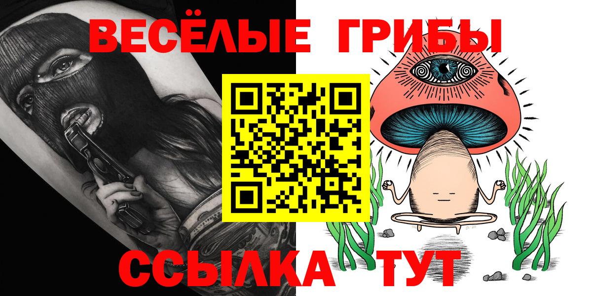 Сальск  Псилоцибиновые грибы GOLDEN TEACHER  Вход с VPN  Галлюциногенные грибы мицелий 