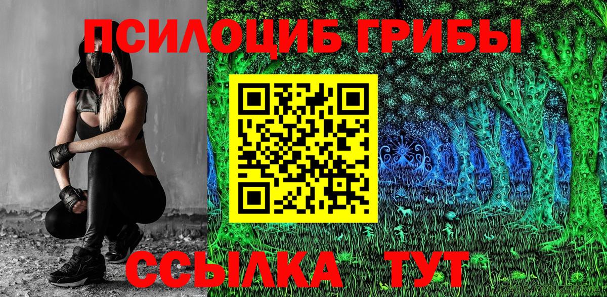 Галлюциногенные грибы Magic Shrooms Сальск